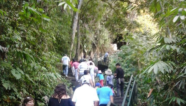 Entrez dans la Cueva de las Lechuzas