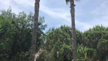 Giorgio's Inn - Foto 4