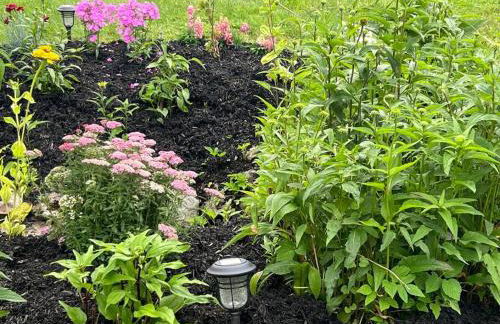 Falls Farmstead 1865 Ellis House Cozy and Comfy Apt #1 - Foto 20