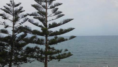 Frosso's Sea Apartments - Foto 5