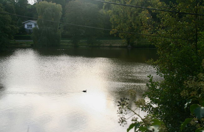 Châtelet de Barbençon - Foto 45