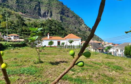 Casa do Bago - Foto 7