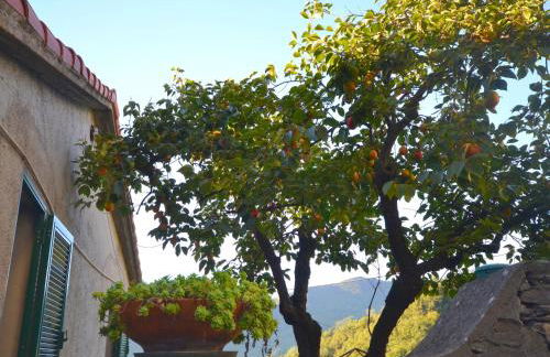 Peaceful Ligurian Hill Stay - Foto 10