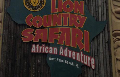 Wellington Garden - Foto 40