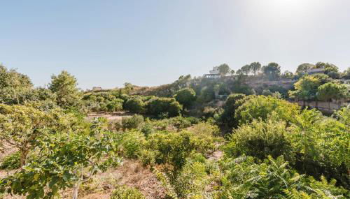 Casa Margiulu’ - Partanna - Foto 3