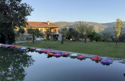 Casa Loureiro de Baixo - Foto 1