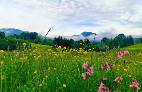 Wetlina 21 - Foto 17