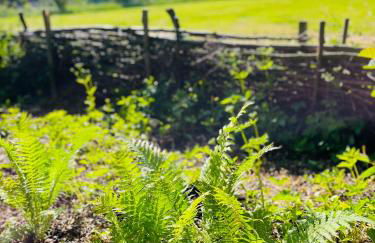 Dat Blockhus am Diek - Foto 7