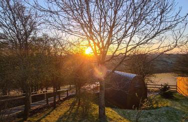 Mulino Pods Exclusive Hire - Foto 15