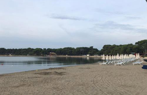 penthouse exceptional sea view - Foto 6