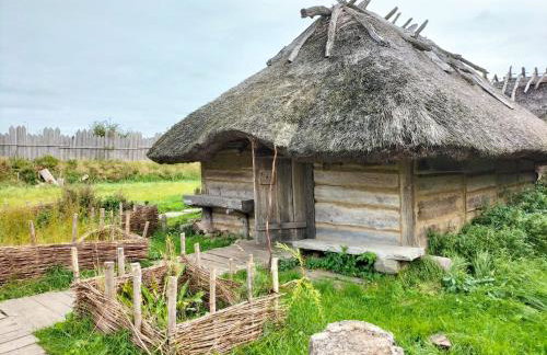 Ferienhaus Sieroslaw polnische Ostsee mit Kamin - Photo 64