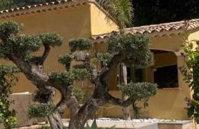 Willy coccon d'amour - Foto 29