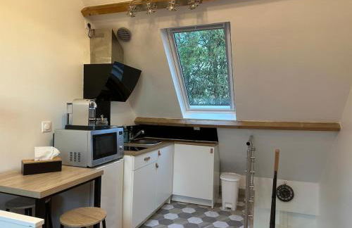 Studio Airport CDG - Asterix - Parc des Expo - Foto 7