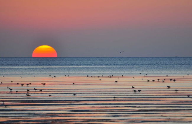 Cosy Holiday Home Near the Centre - Foto 21