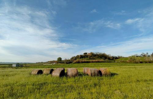 Podere Gian Battaglia - Foto 39