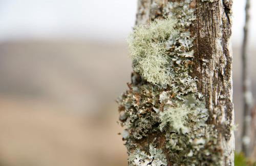 Port na Mine - Foto 24