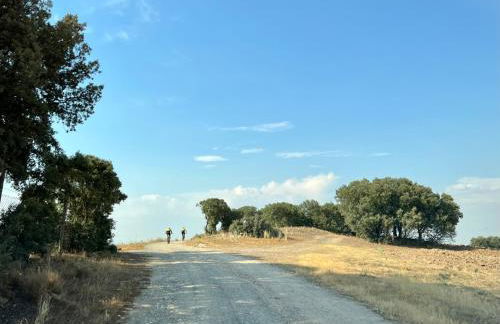 Casa La Colmena Ávila - Foto 25