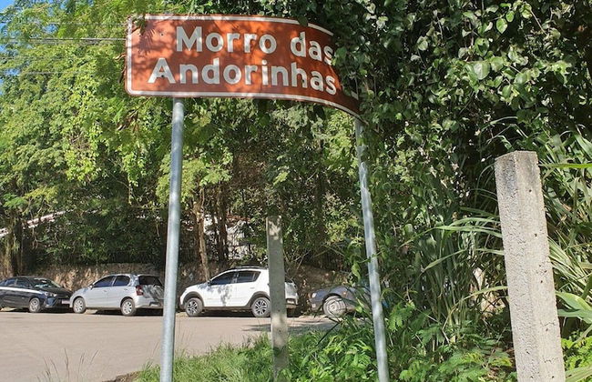 Andorinhas - Foto 54
