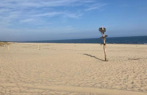 Sunny Sobieszewo - Photo 32