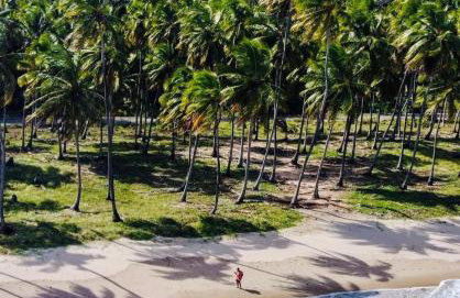 Mani Japaratinga - Foto 32