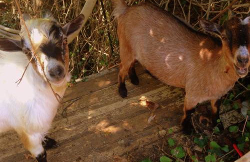 Otium Country House - Foto 156