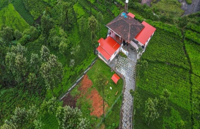 Blue Nile Suits By Indostay - Foto 15