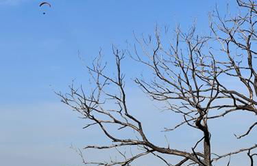 Casinhas da aldeia-casa da xiquita - Foto 27