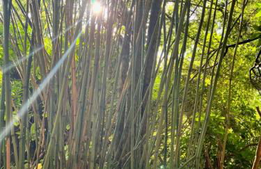 Paradiso Worpswede - Foto 73