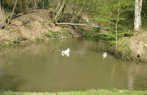 Nightingale Barn - Stunning & Huge - Foto 10