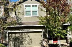 Peace in the Pines - Foto 1