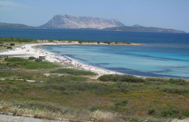 Apartment in Sos Alinos Near Sardinian Beaches - Photo 25