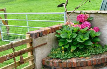 Molehill lodge - Foto 21