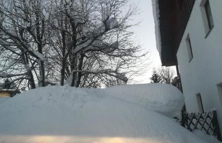 Haus Haidweg - Ferienwohnungen in Haidmühle im Dreiländereck DE-CZ-AT - Foto 9