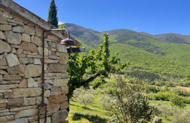 Le Grand Hermas - Foto 29