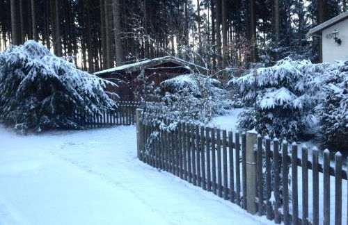 Hundeurlaub im Tiny House im Wald - Foto 69