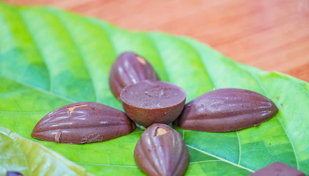 Chocolat costaricain