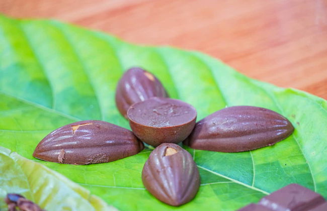 Costa Rican Coffee & Chocolate Tour - Foto 6