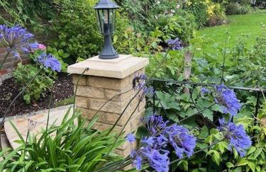 The Resting Shepherd - Foto 26