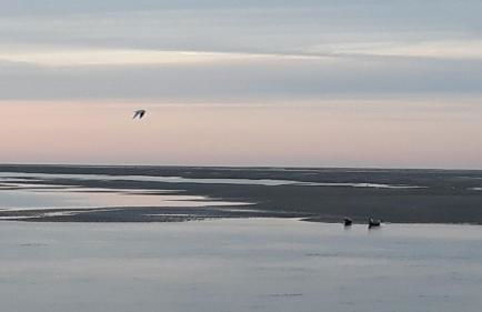 Vue exceptionnelle sur la Baie de Somme - Foto 13