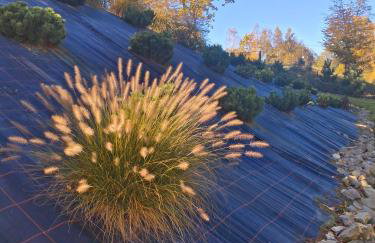 Siedlisko Sielska Dolina Nad Stawem luksusowy domek całoroczny z fińską sauną - Foto 7