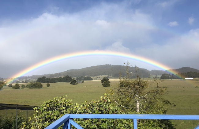 Mole Creek Hideaway - Photo 25