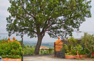 Albergo Arinde - Foto 12