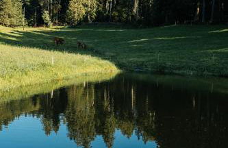 Baschijörgenhof - Foto 12