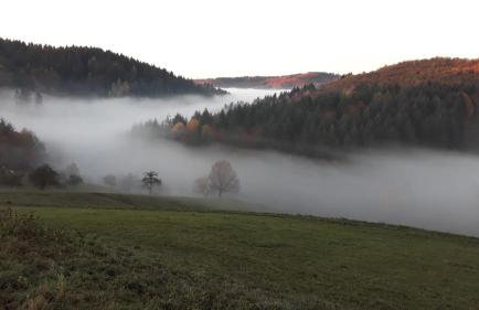 Fachwerkhaus mitten in der Natur - Foto 18