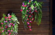 Yard of Panos - Foto 49