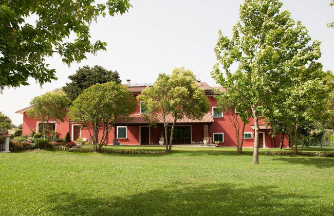 La Tavernola Agriturismo - Tenuta Mandia - Foto 20