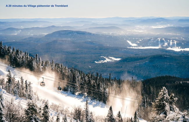 Spacious log Cottage Resort Access Citq 242255 - Foto 63