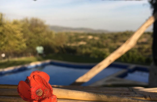 Villa Gaia Agriturismo and B&b - Photo 29