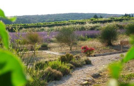 AU MAS D'EMMA - Foto 6