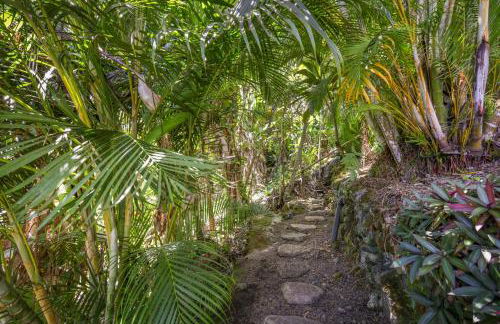 Hale Mauka - Foto 36